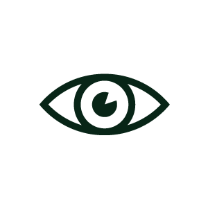 Vision Icon