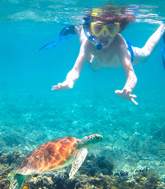 Guided Snorkeling Tour
