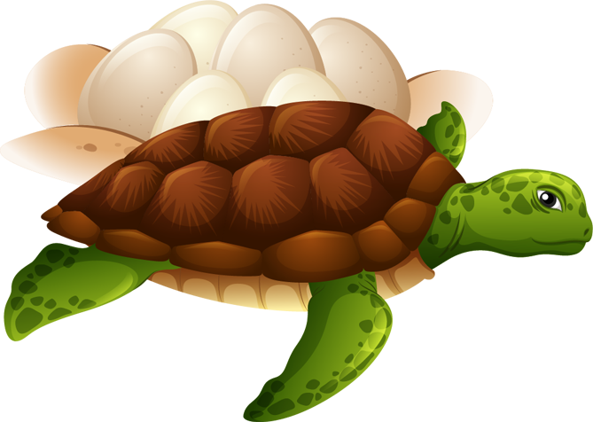 Egg laying