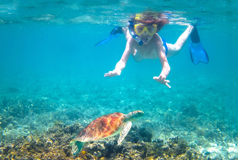 Guided snorkeling tour