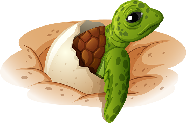 Hatching
