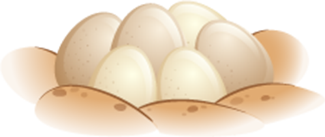 Incubation