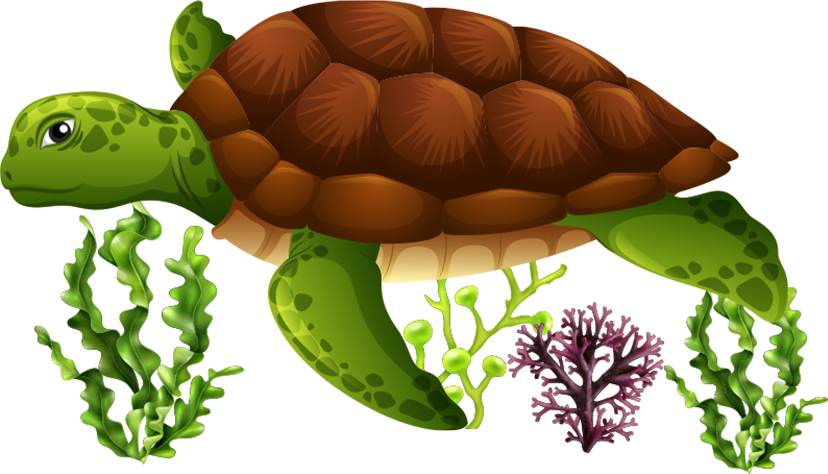 Juvenile phase