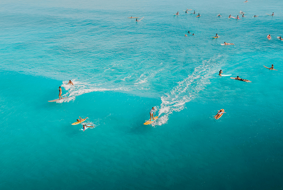 Guided snorkeling tour